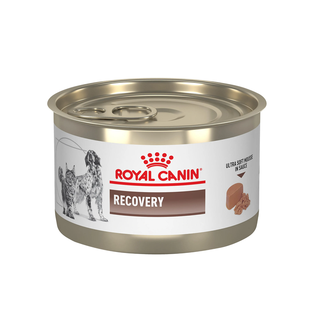 Royal Canin Recovery Can