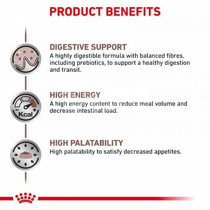 Royal Canin Gastrointestinal Cat