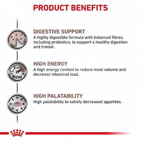 Royal Canin Gastrointestinal Cat