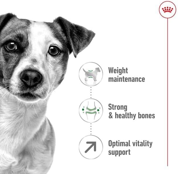 Royal Canin S Mini Adult