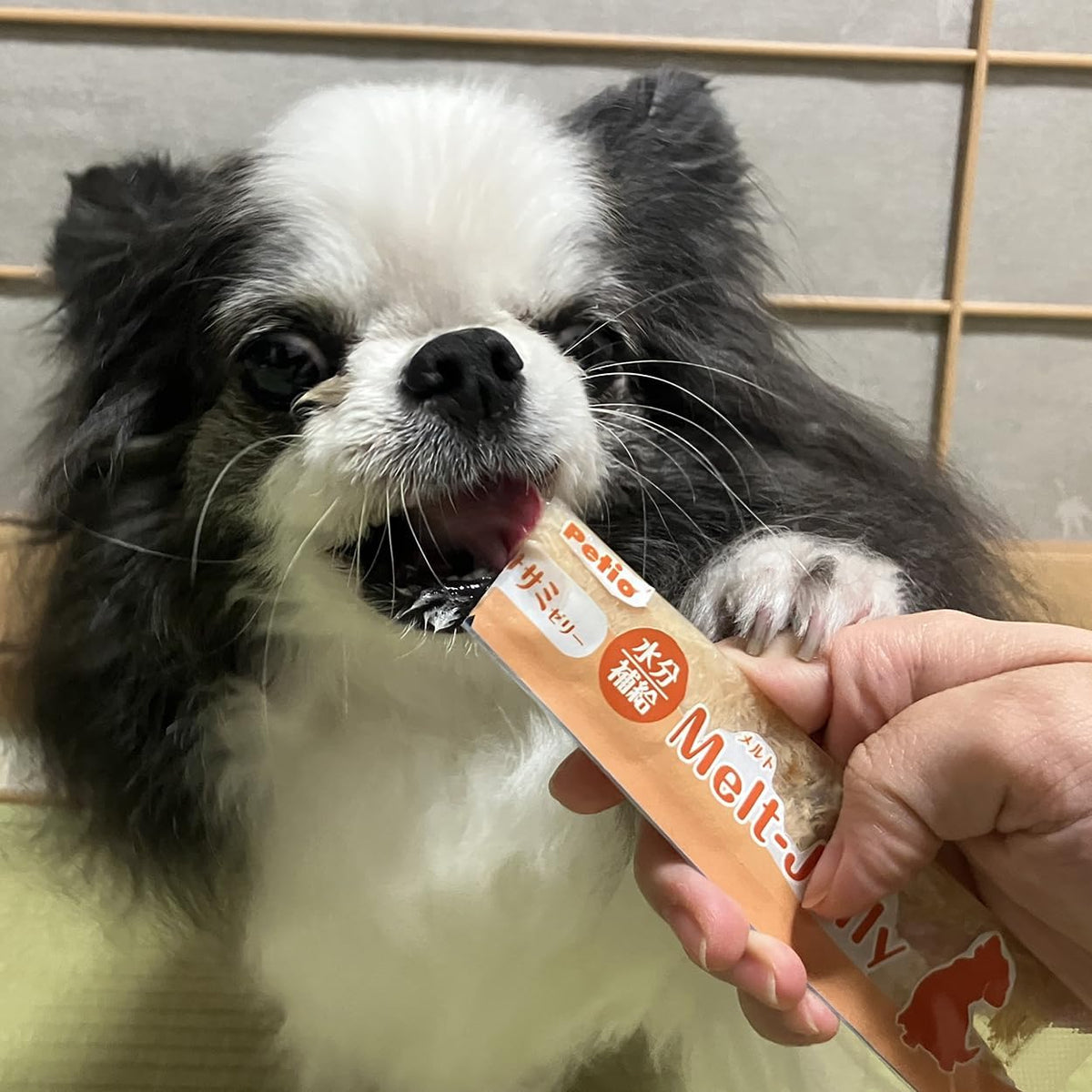 Petio Dog Melt-Jelly for Hydration