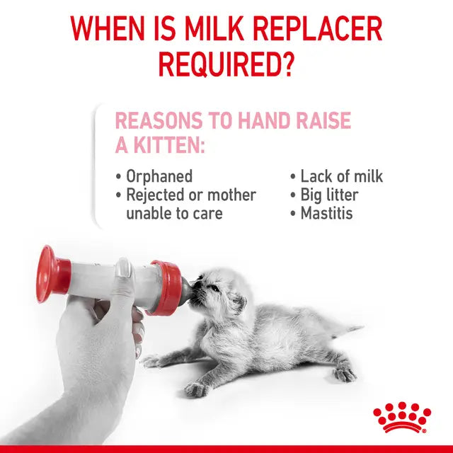 Royal Canin Baby Cat Milk