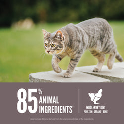 Orijen Cat Fit & Trim