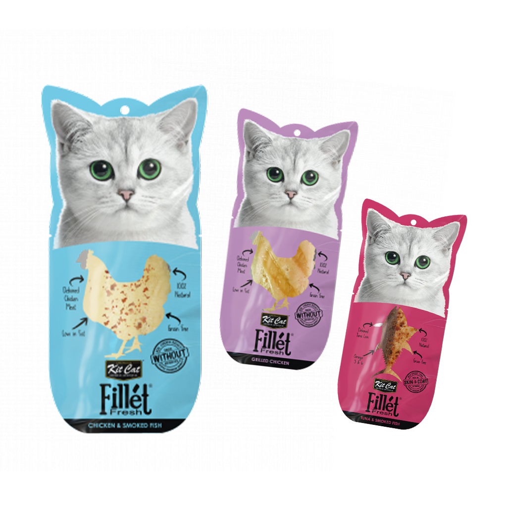 Kit Cat Fillet Fresh
