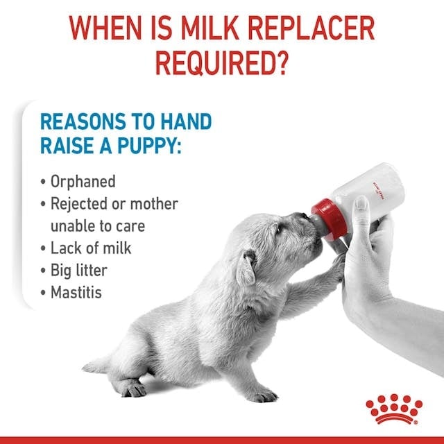 Royal Canin Baby Dog Milk