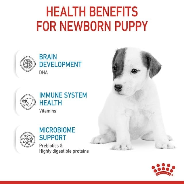 Royal Canin Baby Dog Milk