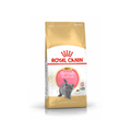 Royal Canin British Shorthair Kitten