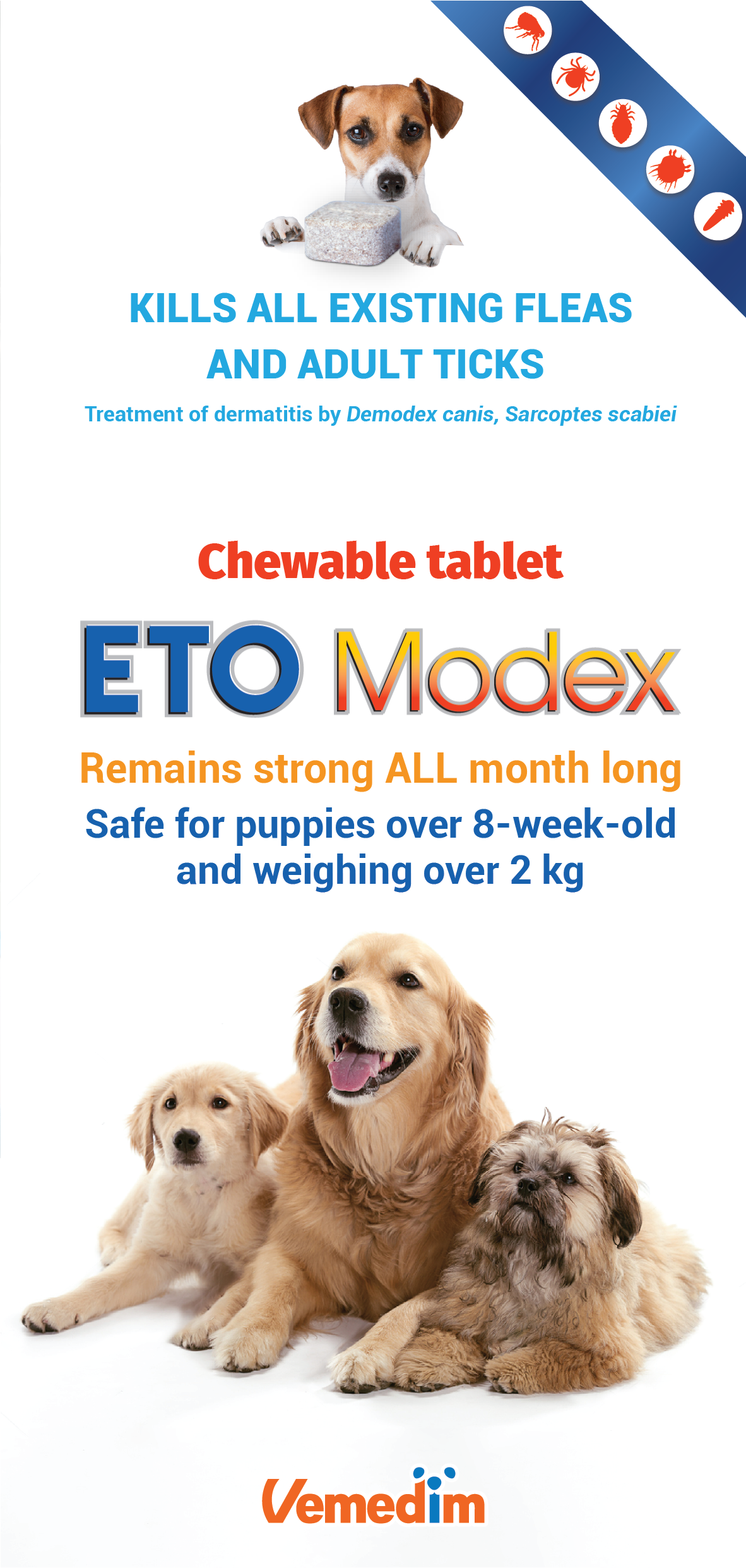 ETO Modex Tick & Flea