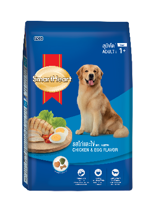 SmartHeart Adult