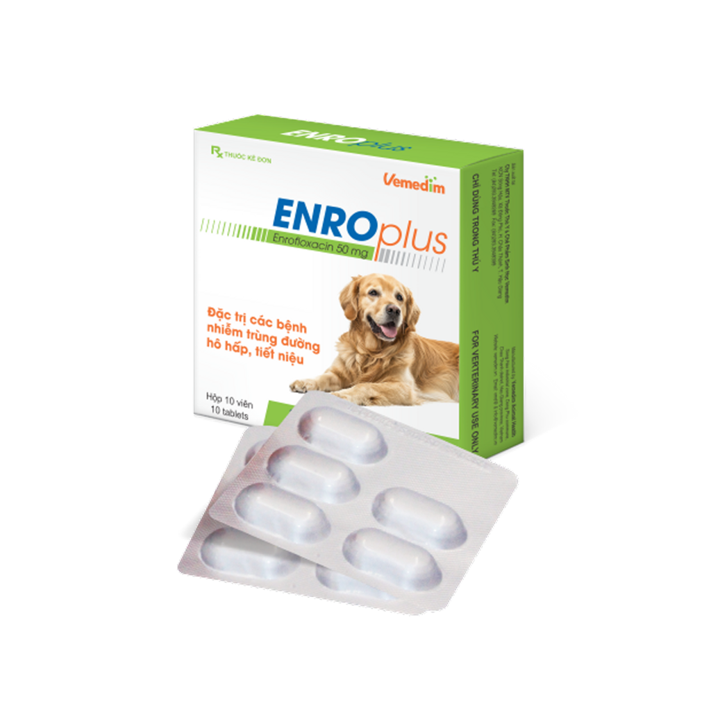 Enro Plus Dog