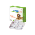 Enro Plus Dog