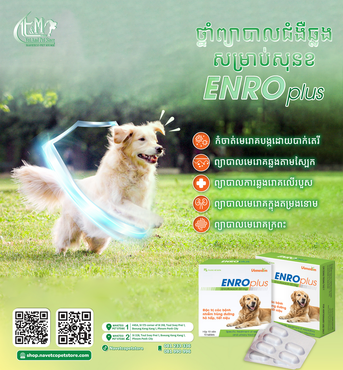 Enro Plus Dog