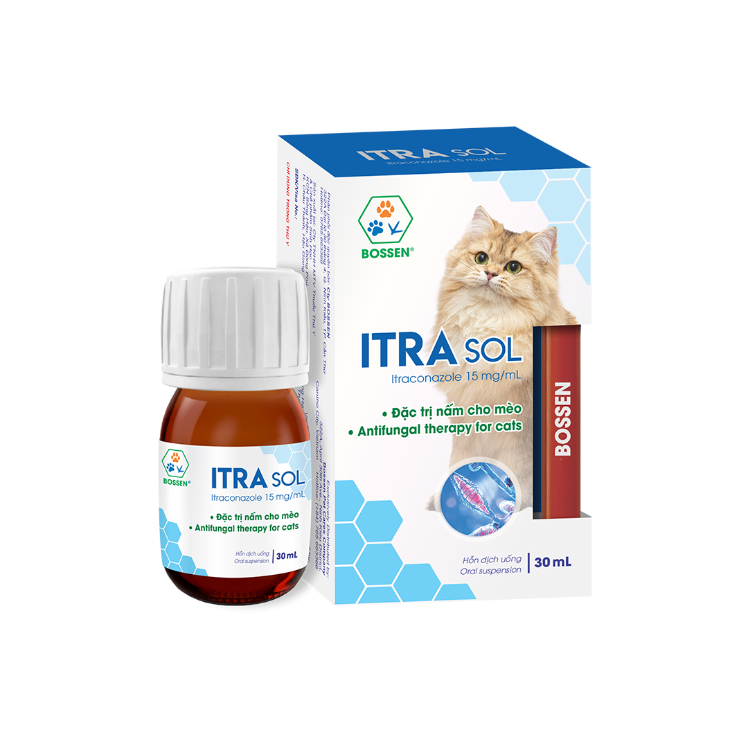 Itrasol Cat