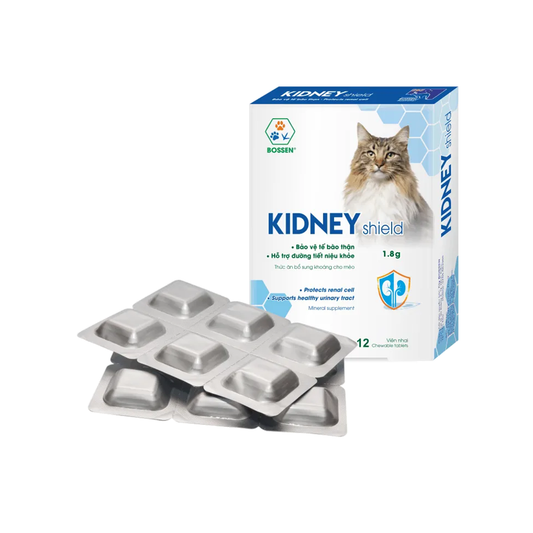 Kidney Shield Cat
