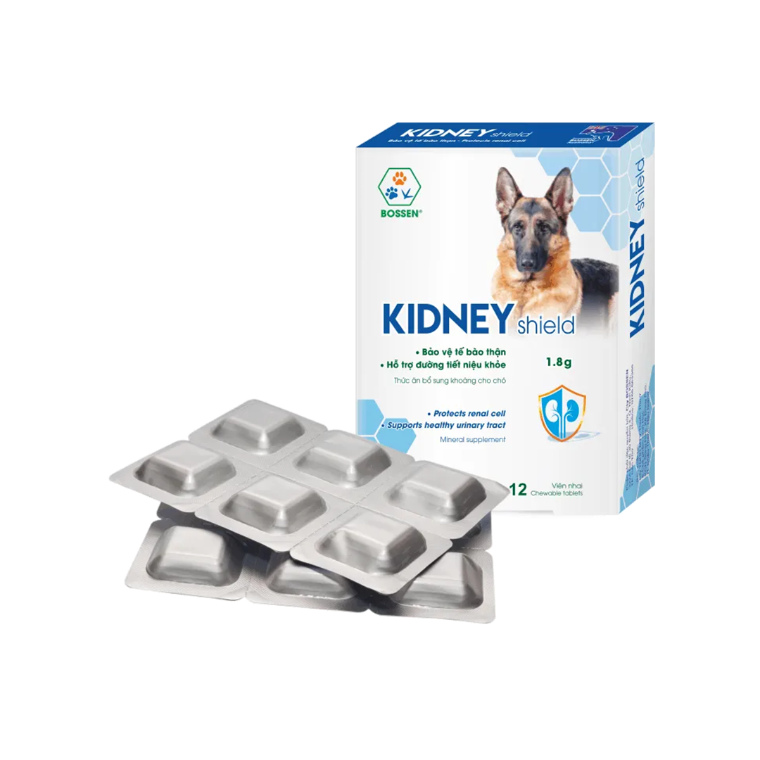 Kidney Shield Dog