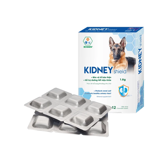 Kidney Shield Dog