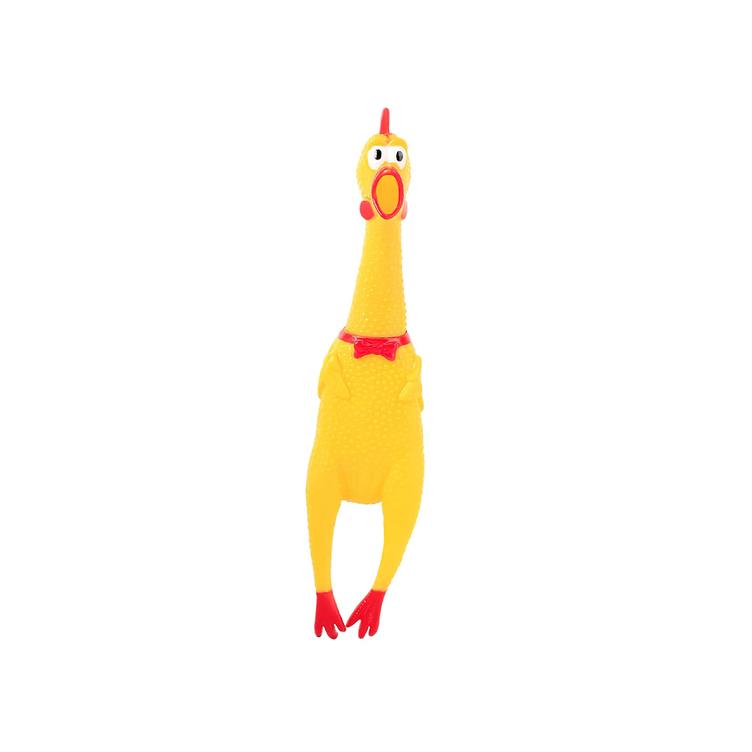 Poplay Chicken Toy
