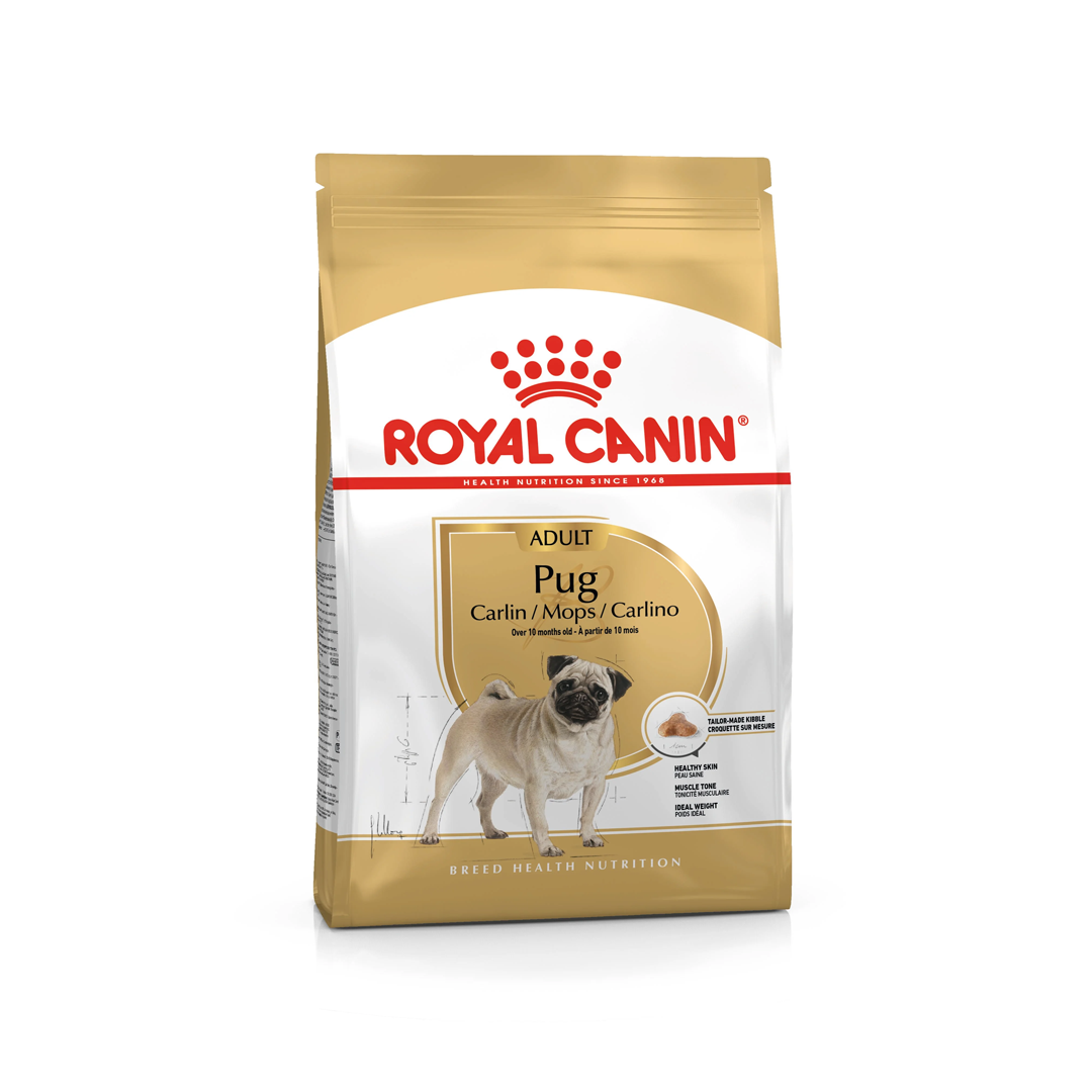 Royal Canin Pug Adult