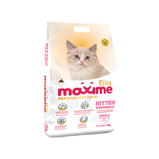 Maxime Elite Kitten & Mother