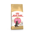 Royal Canin Maine Coon Kitten