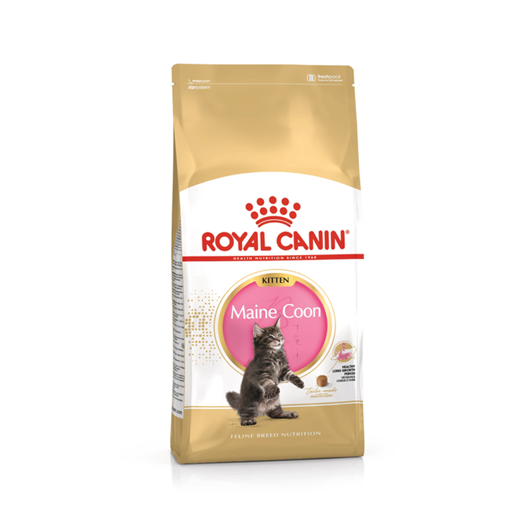 Royal Canin Maine Coon Kitten