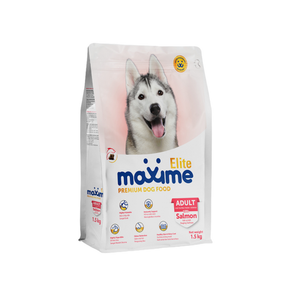 Maxime Elite Premium Dog with Salmon