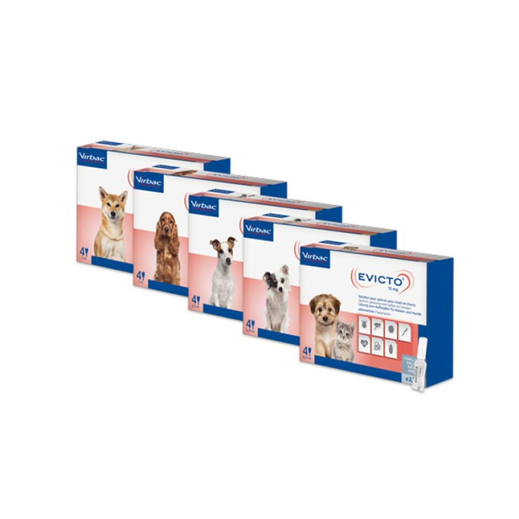 Evicto Selamectin Topical Solution