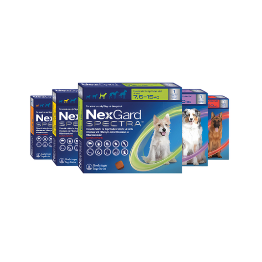 Nexgard Spectra