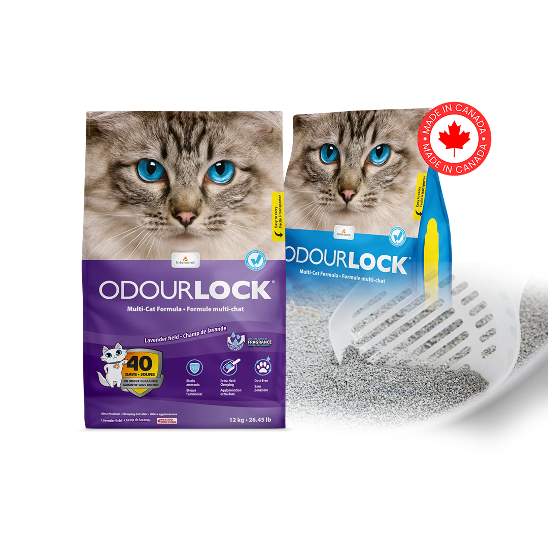 ODORLOCK Ultra-Premium Clay Litter