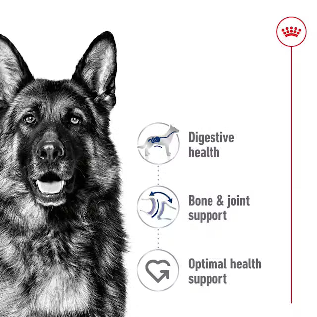 Royal Canin Maxi Adult In Gravy