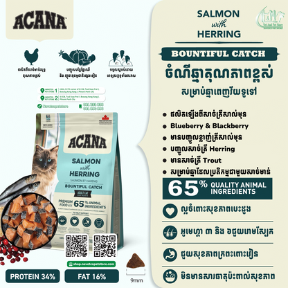 Acana Bountiful Catch Cat Salmon & Herring