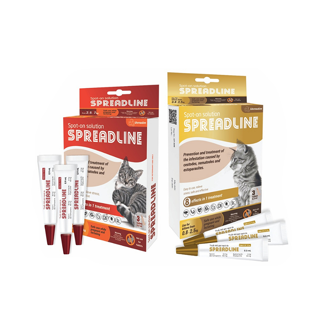 Vemedim Spreadline Cat