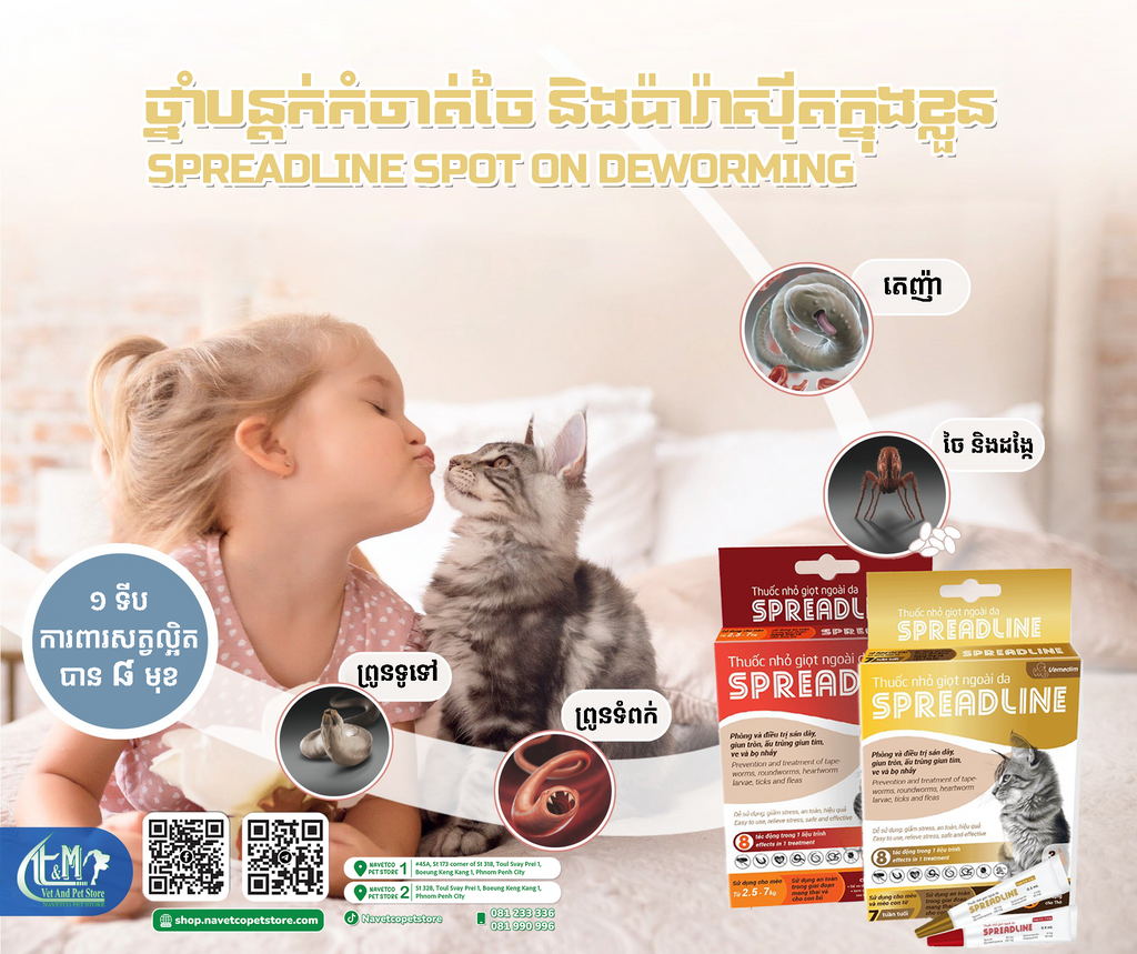 Vemedim Spreadline Cat