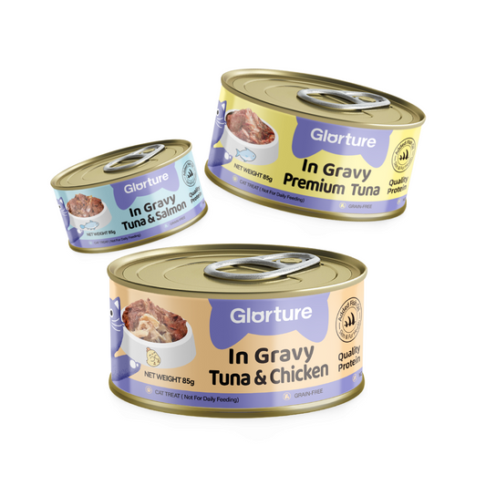 Glorture Cat In Gravy